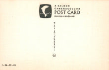 Load image into Gallery viewer, Vintage postcard with salmon design and text on a beige background
