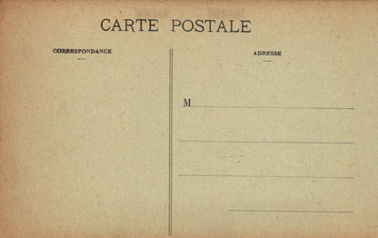 France Postcard - Saint-Omer, Jardin Public, Allee Principale  VT100