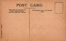 Load image into Gallery viewer, Handmade Postcard - Flowers, A Wild Rose   VT102
