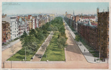 Load image into Gallery viewer, Colorized postcard of a tree-lined street with buildings on either side, likely from the early 20th century.

