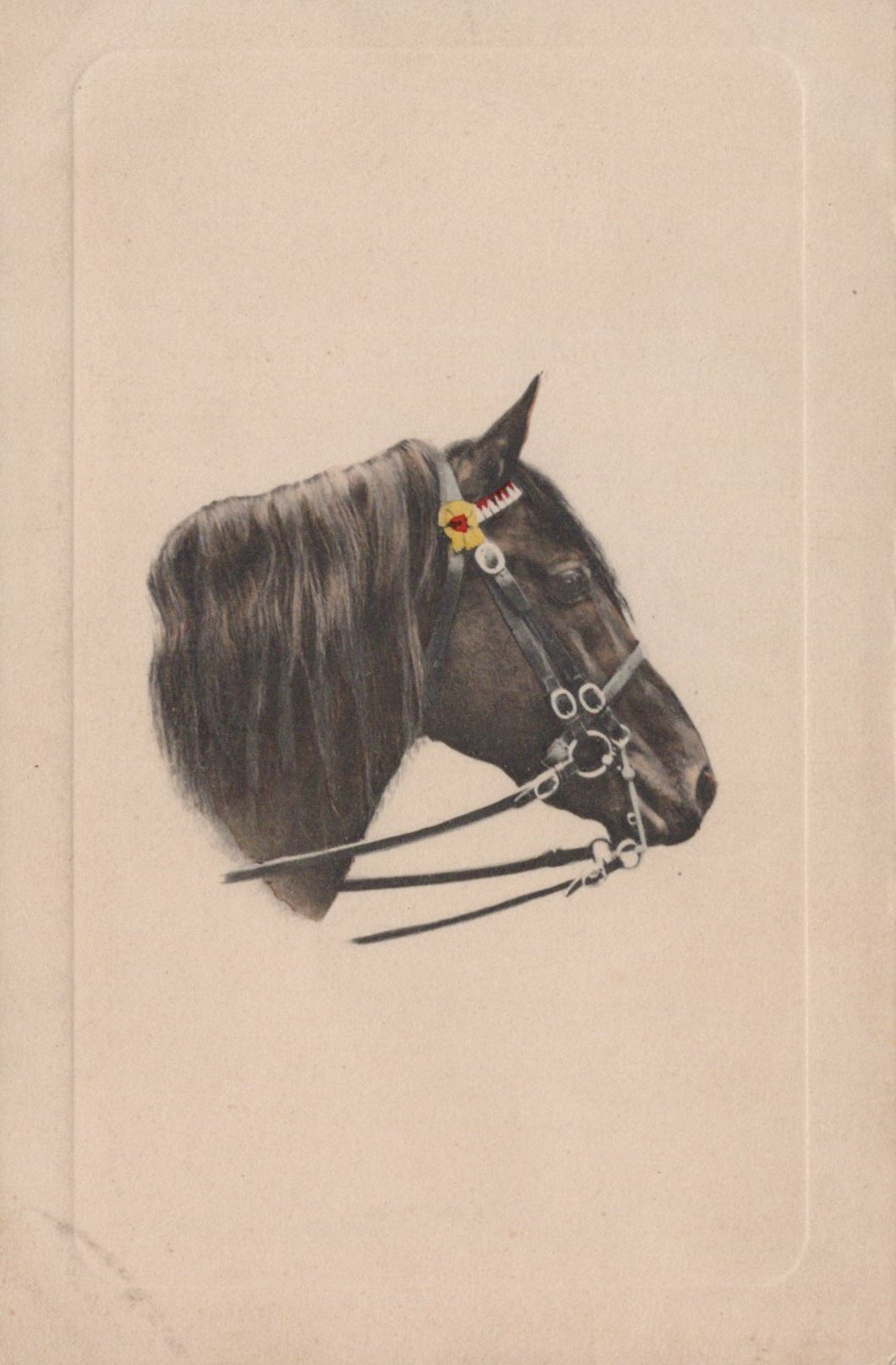 Illustration of a horse's head with a bridle on a beige background