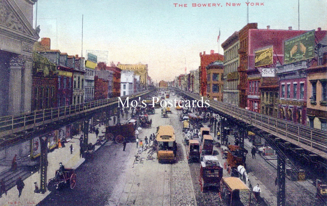 America Postcard - The Bowery, New York   SW18179