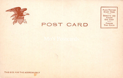 America Postcard - The Bowery, New York   SW18179