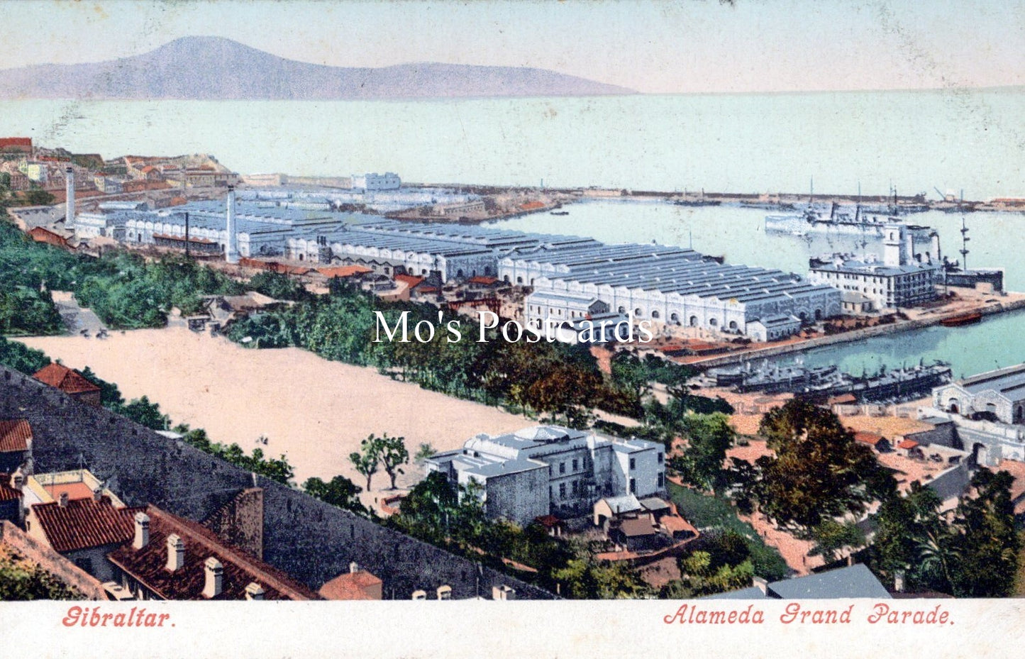 Gibraltar Postcard - Alameda Grand Parade     SW18187