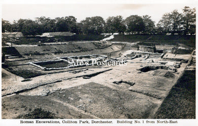 Dorset Postcard - Dorchester Roman Excavations, Colliton Park  SW18225