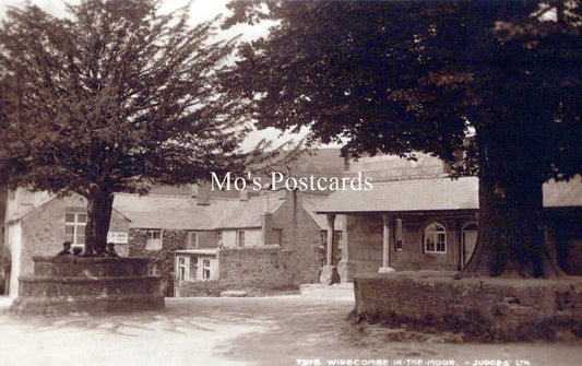 Devon Postcard - Widecombe in The Moor Village  SW18242