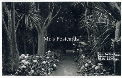 Cornwall Postcard - Isles of Scilly, Palm Avenue, Tresco   SW18257