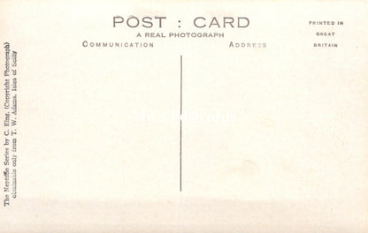 Cornwall Postcard - Isles of Scilly, Palm Avenue, Tresco   SW18257