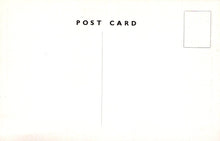 Load image into Gallery viewer, Essex Postcard - Canvey&#39;s Model Village, Old Village Pump SW18279
