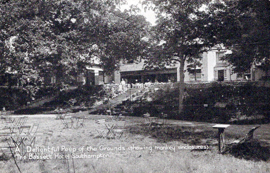 Hampshire Postcard - The Bassett Hotel, Southampton  SW18285