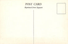 Load image into Gallery viewer, Devon Postcard - Hoops Inn, Horns Cross  SW18423
