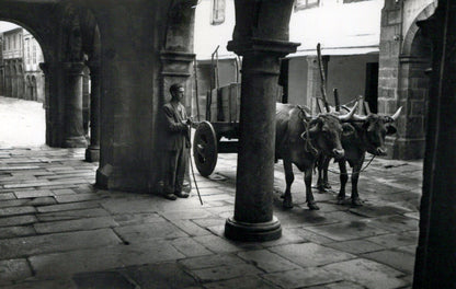 Spain Postcard - Santiago De Compostela, A Typical Cart in New Street  SW18438