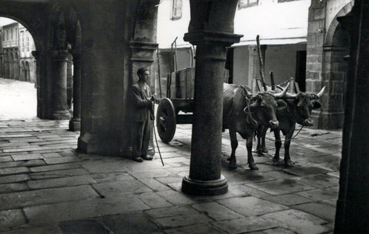Spain Postcard - Santiago De Compostela, A Typical Cart in New Street  SW18438