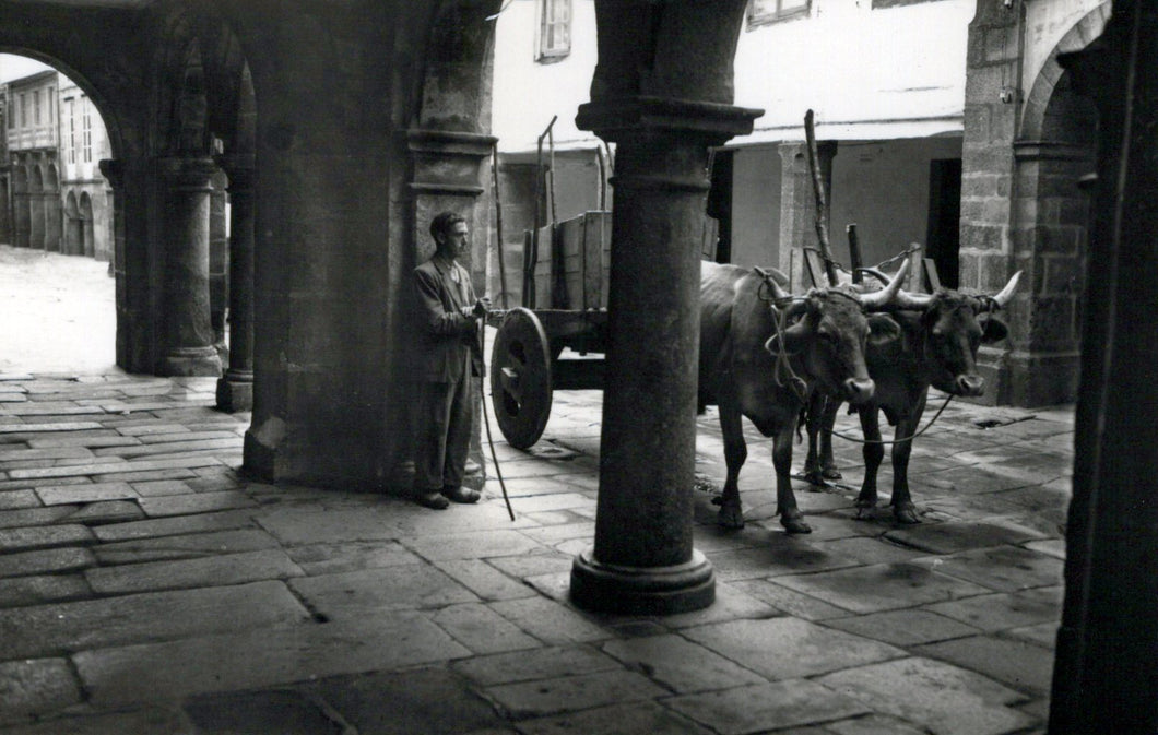 Spain Postcard - Santiago De Compostela, A Typical Cart in New Street  SW18438