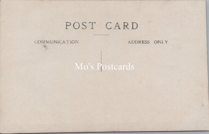 Ancestors Postcard - Portrait of a Young Lady   SW16958
