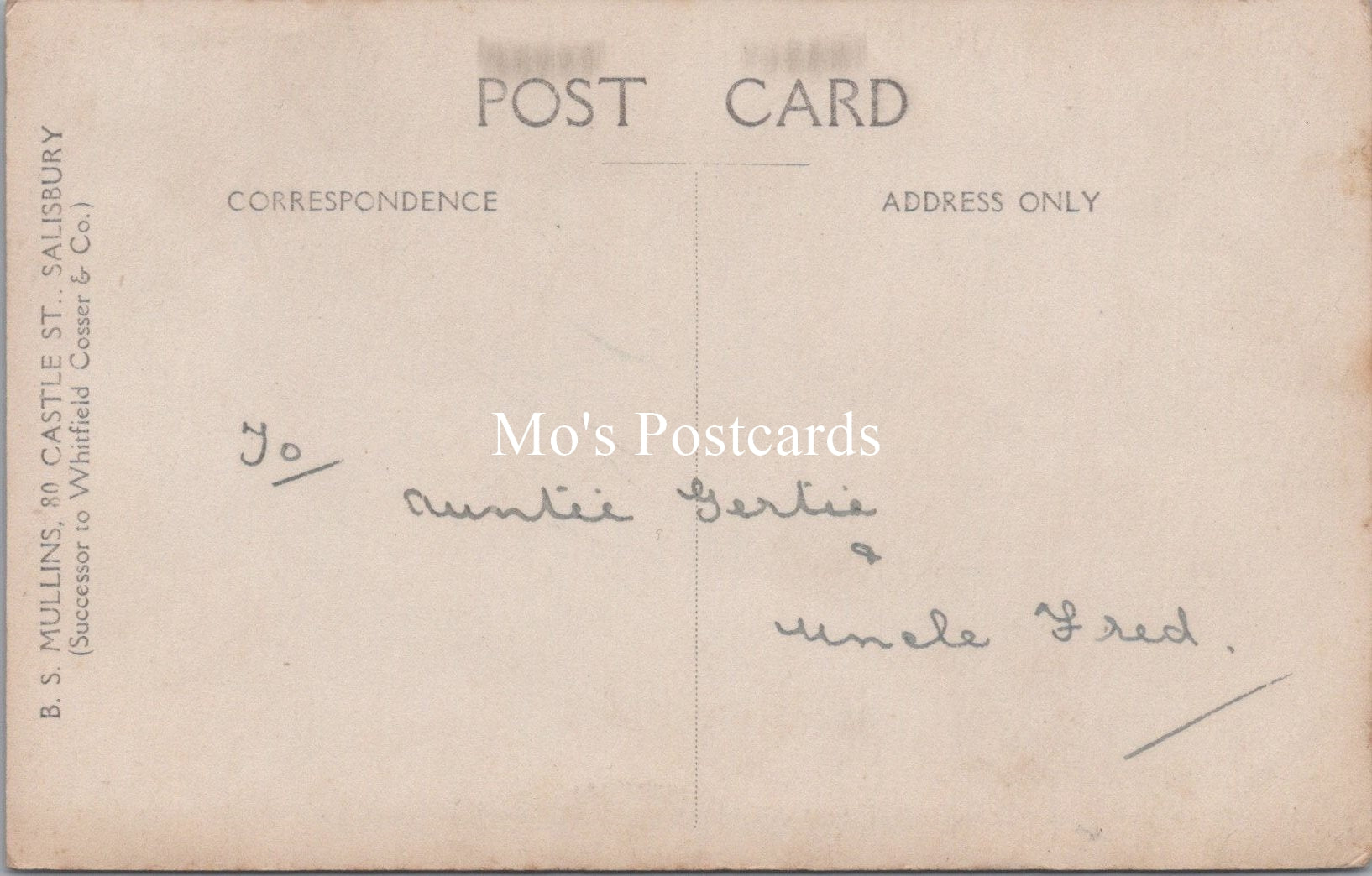 Ancestors Postcard - Portrait of a Young Lady, Salisbury Photo  SW16954