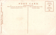 Load image into Gallery viewer, Suffolk Postcard - Ipswich Arboretum and Grammar School  SW18385
