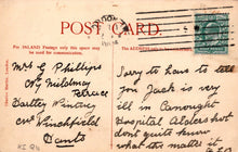 Load image into Gallery viewer, London Postcard - Battersea Park  SW18396
