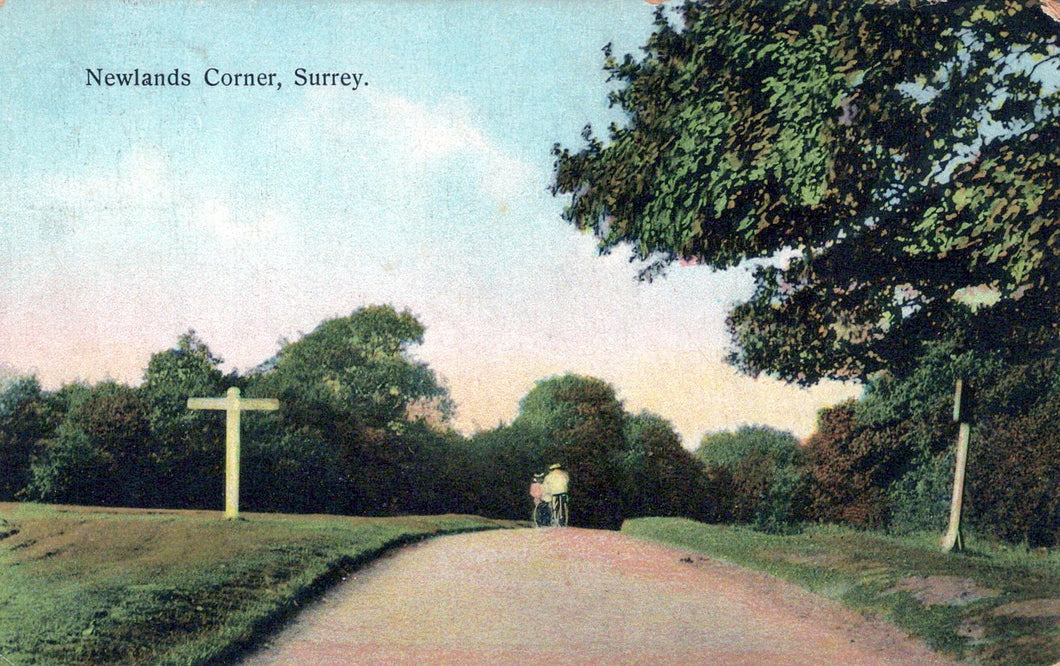 Surrey Postcard - Newlands Corner   SW18417