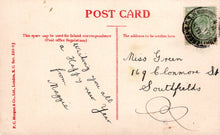 Load image into Gallery viewer, London Postcard - The Lake, Battersea Park  SW18420
