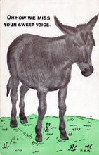 Load image into Gallery viewer, Animals Postcard - Donkey, Oh How We Miss Your Sweet Voice SW18487
