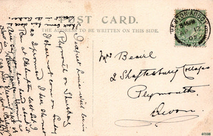 Devon Postcard - Brixham Fishing Trawlers  SW18502