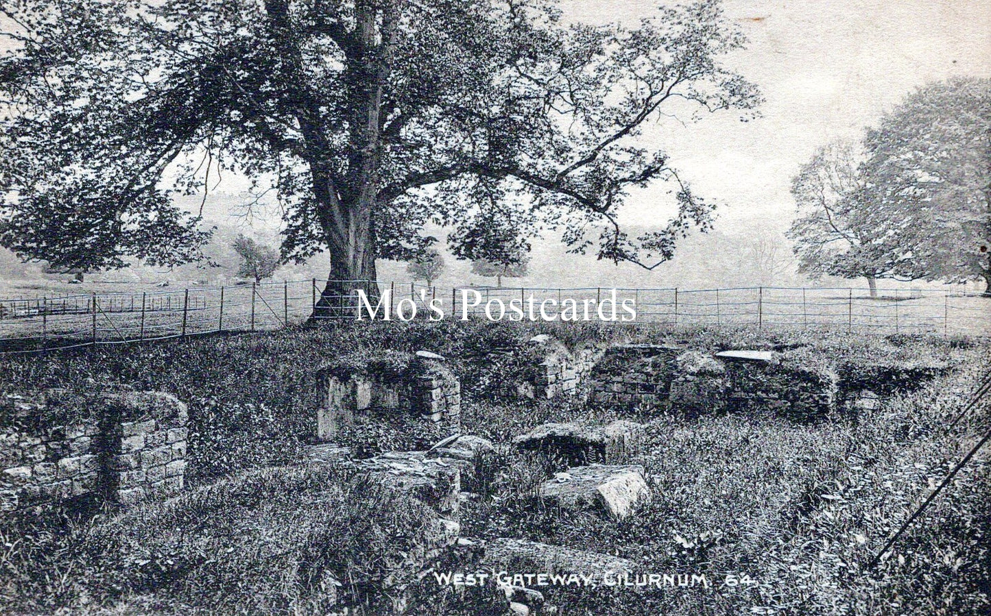 Northumberland Postcard - West Gate, Cilurnum Roman Fort SW18505