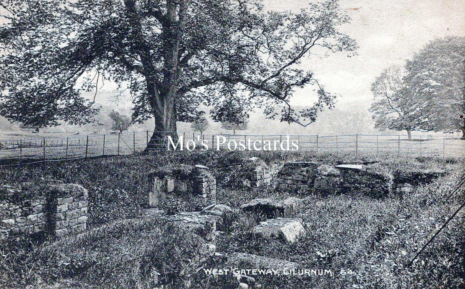 Northumberland Postcard - West Gate, Cilurnum Roman Fort SW18505
