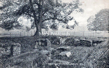 Load image into Gallery viewer, Northumberland Postcard - West Gate, Cilurnum Roman Fort SW18505

