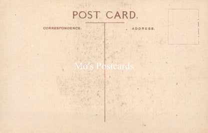 Literature Postcard - Charles Dickens When a Young Man  SW18516