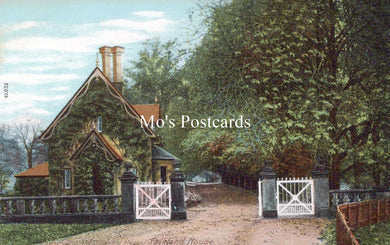 Scotland Postcard - The Lodge and Avenue, Falkland House  SW18520