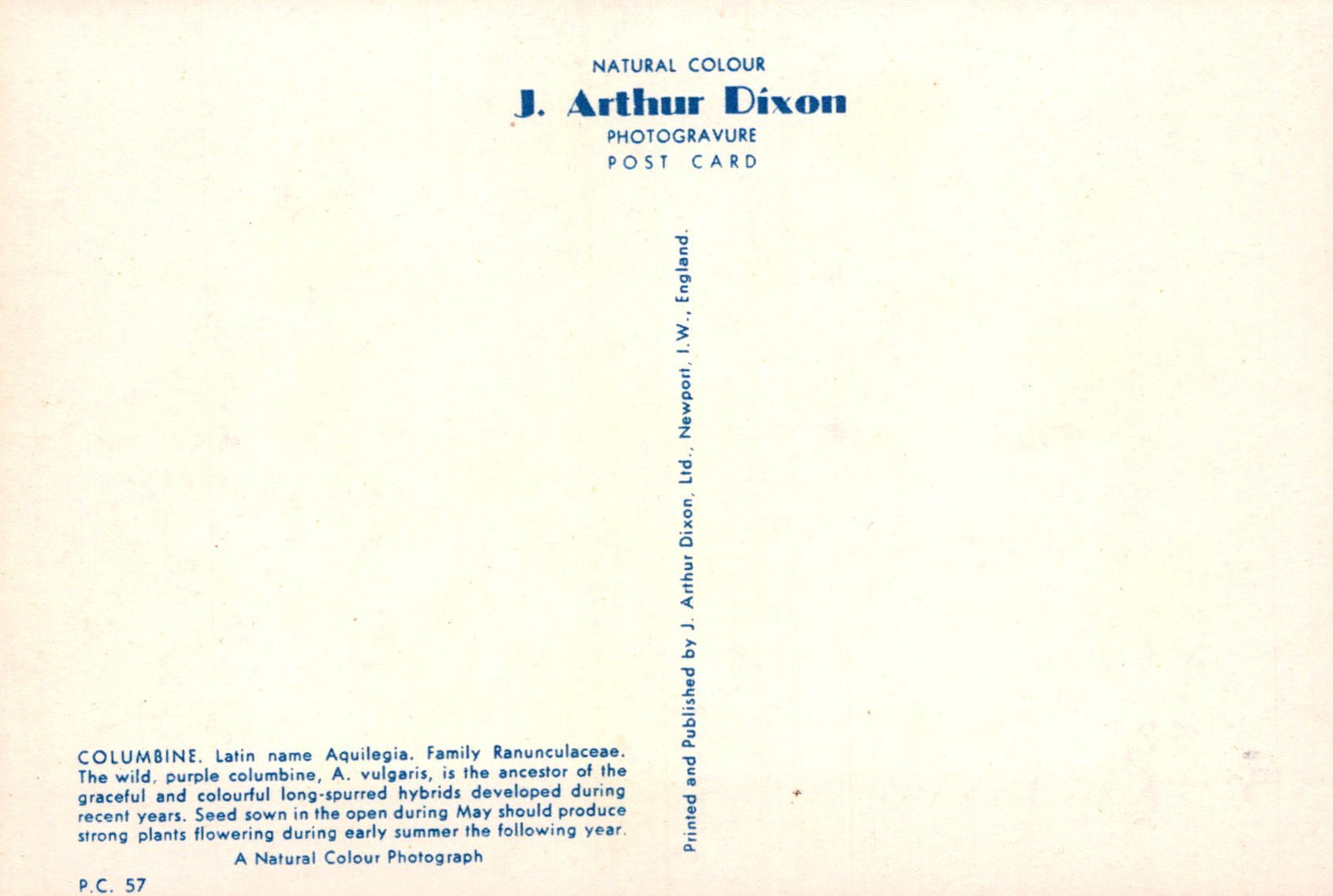 Back of a postcard with text about J. Arthur Dixon's photogravure work on columbine flowers.