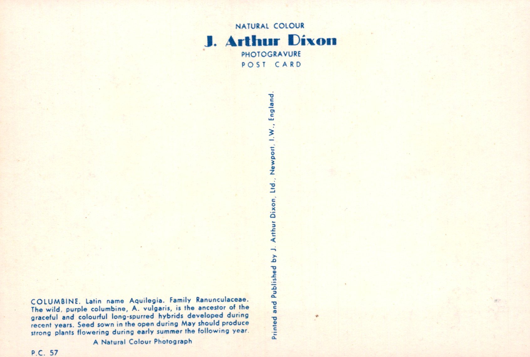 Back of a postcard with text about J. Arthur Dixon's photogravure work on columbine flowers.