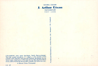 Back of a postcard with text about J. Arthur Dixon's photogravure work on columbine flowers.