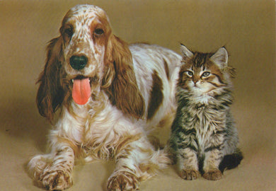 Dog and cat sitting together on a beige background