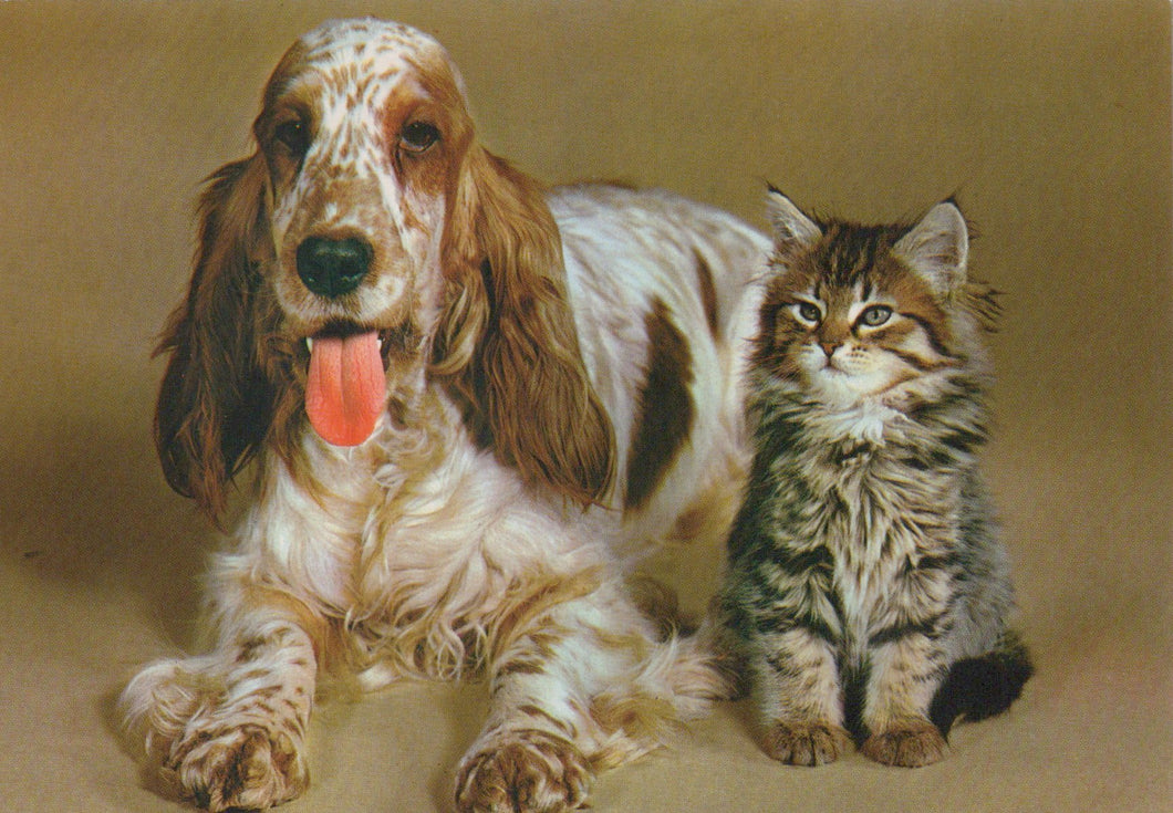 Dog and cat sitting together on a beige background