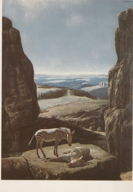 Two zebras in a rocky landscape with a distant view of fields and mountains.