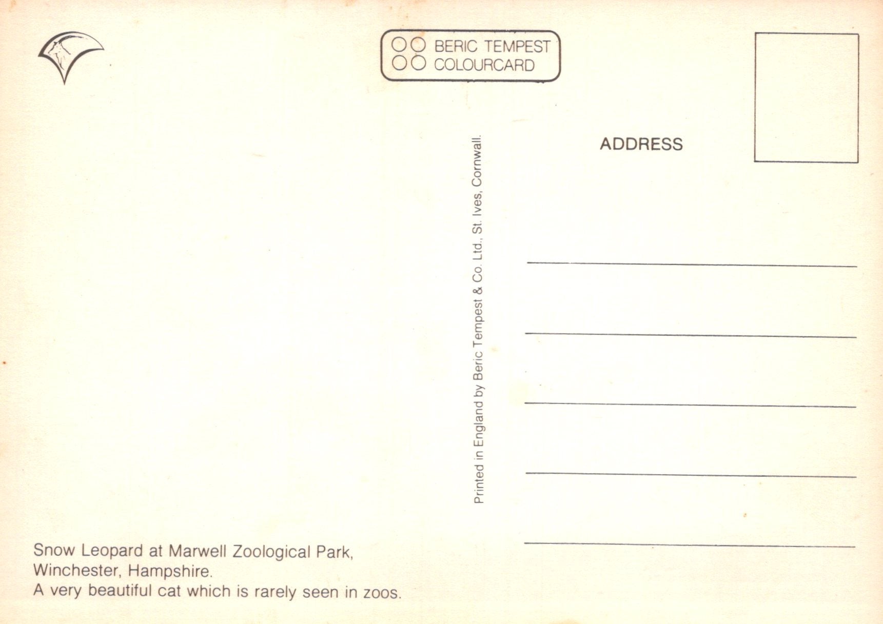 Back of a postcard with text about a snow leopard at Marwell Zoological Park, featuring Beric Tempest branding.