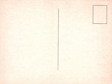 Load image into Gallery viewer, Gradient background transitioning from light pink to white
