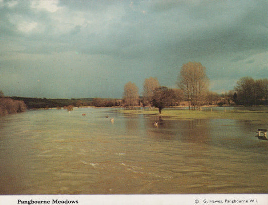 Lake with trees and a cloudy sky, labeled 'Pangbourne Meadows'.