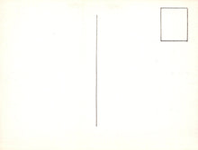 Load image into Gallery viewer, Two black lines on a white background
