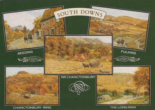 Collage of South Downs landscapes with scenic views and text on a green background
