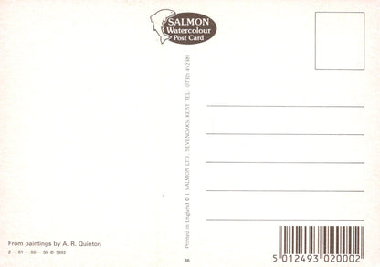 Back of a postcard with salmon watercolor design and text