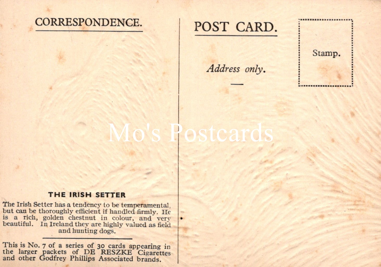 Animals Postcard - Dogs, The Irish Setter  SW18914