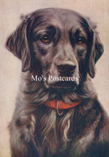 Load image into Gallery viewer, Animals Postcard - Dogs, The Labrador  SW18915
