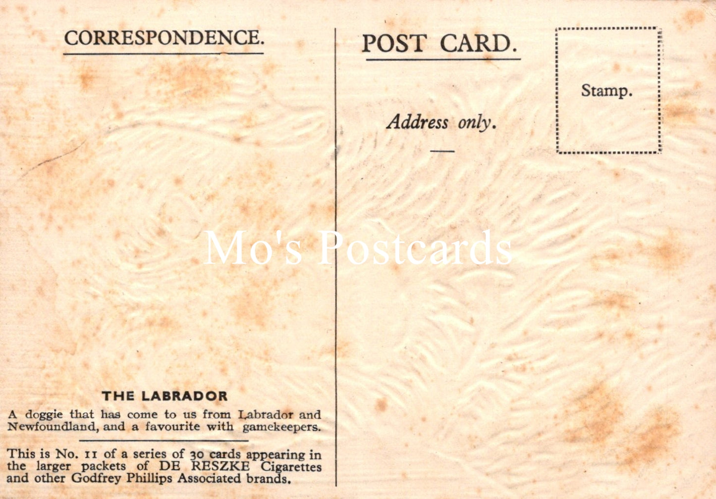 Animals Postcard - Dogs, The Labrador  SW18915
