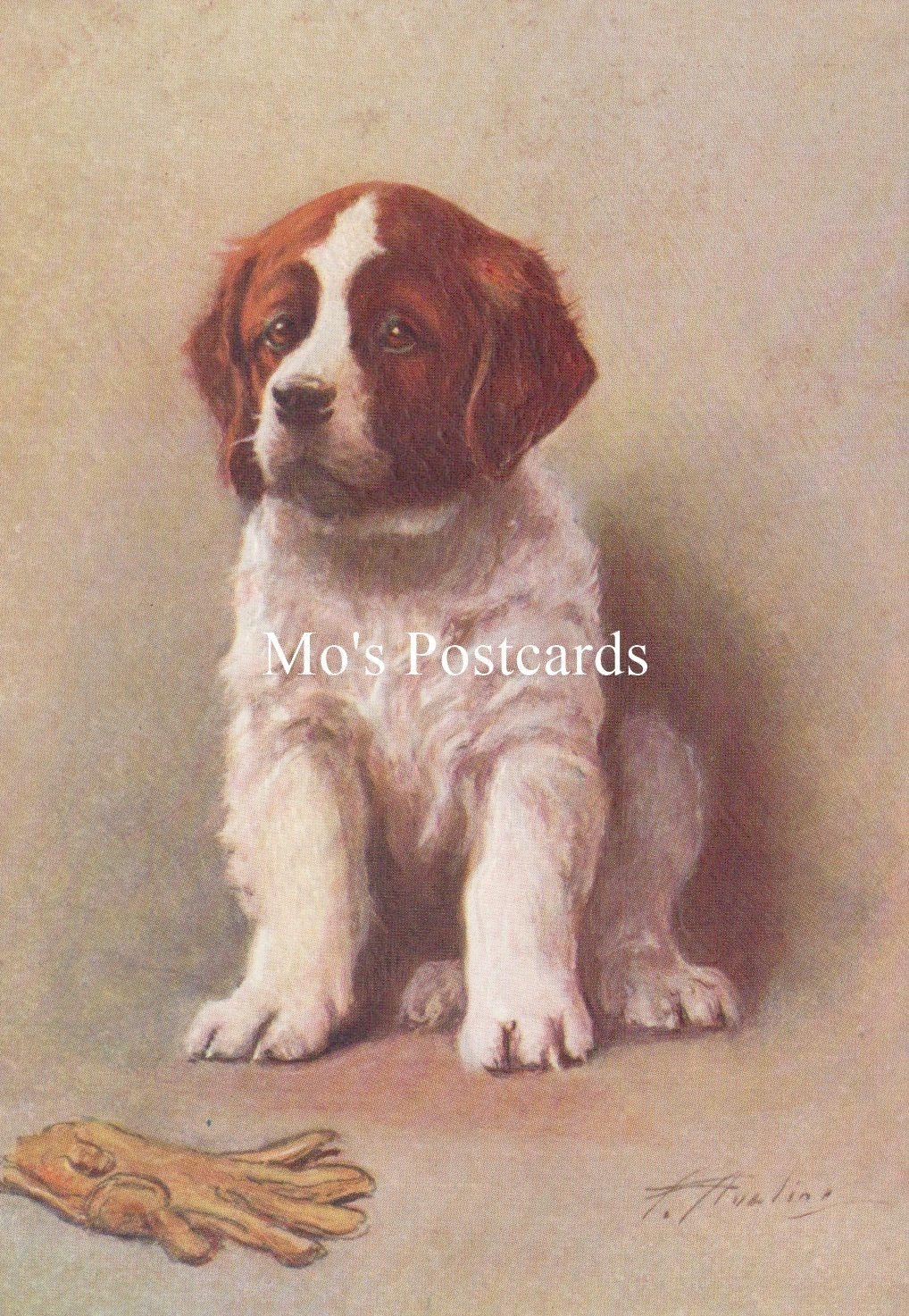 Animals Postcard - Dogs, The St Bernard   SW18916