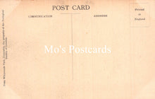 Load image into Gallery viewer, Animals Postcard - Tigress and Cubs, Whipsnade Park  SW18924
