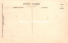 Load image into Gallery viewer, Animals Postcard - Chapman&#39;s Zebras, Whipsnade Park  SW18925
