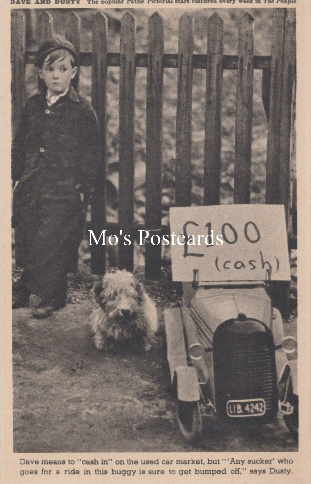 Animals Postcard - Dogs, Dave and Dusty   SW18926